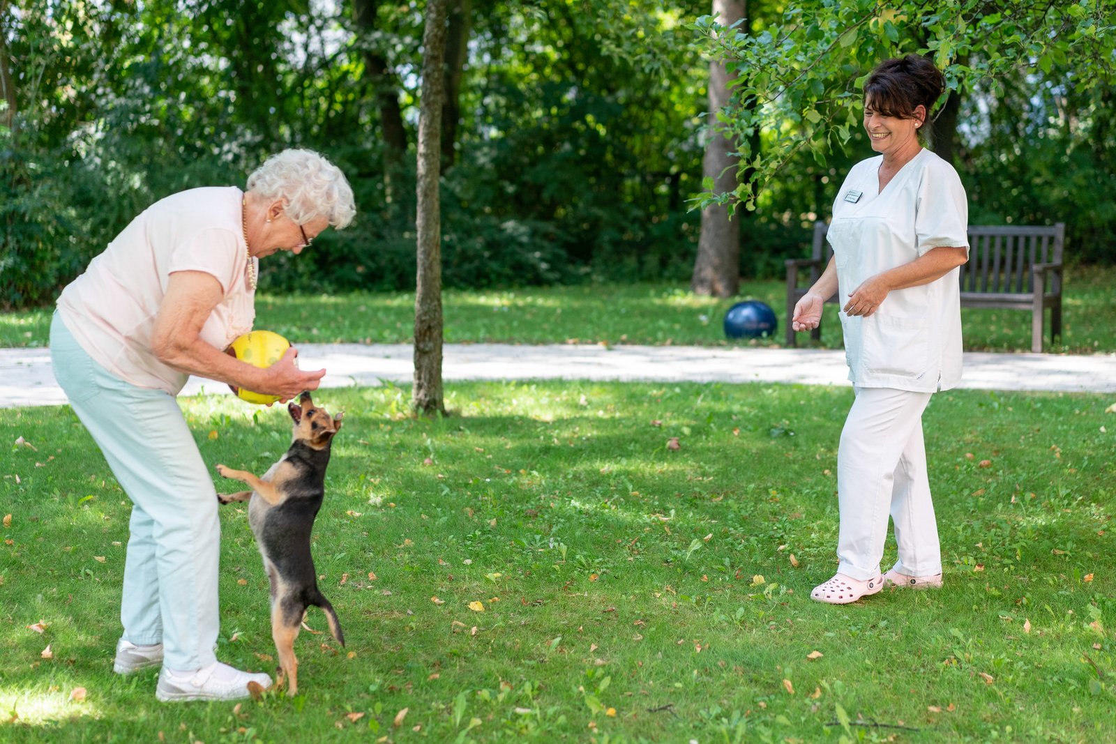 Hundetherapie