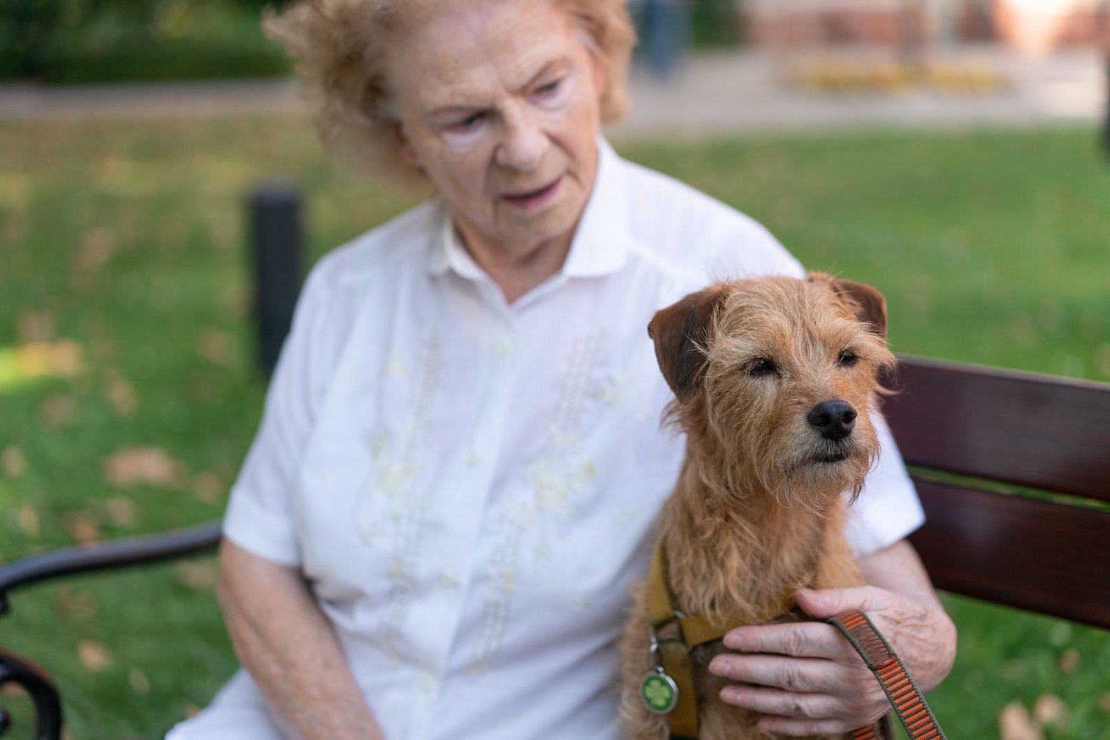 Hundetherapie