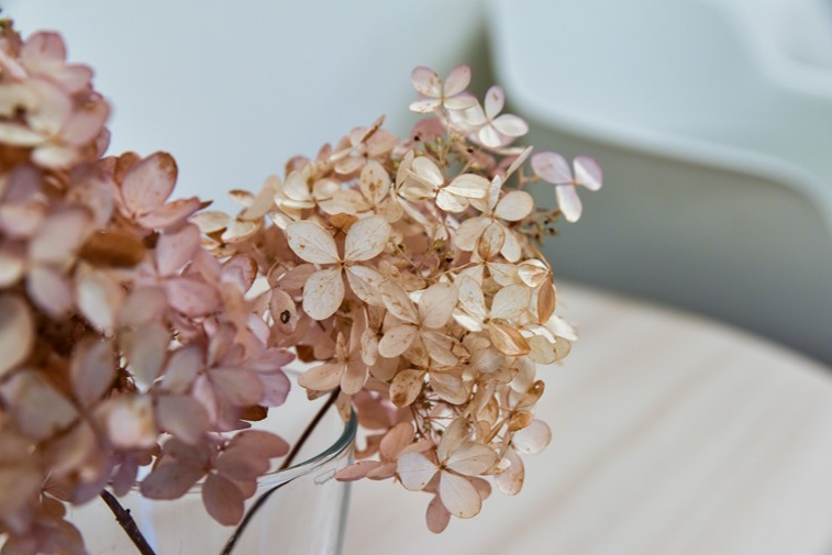 Stilfoto Beige Ebene