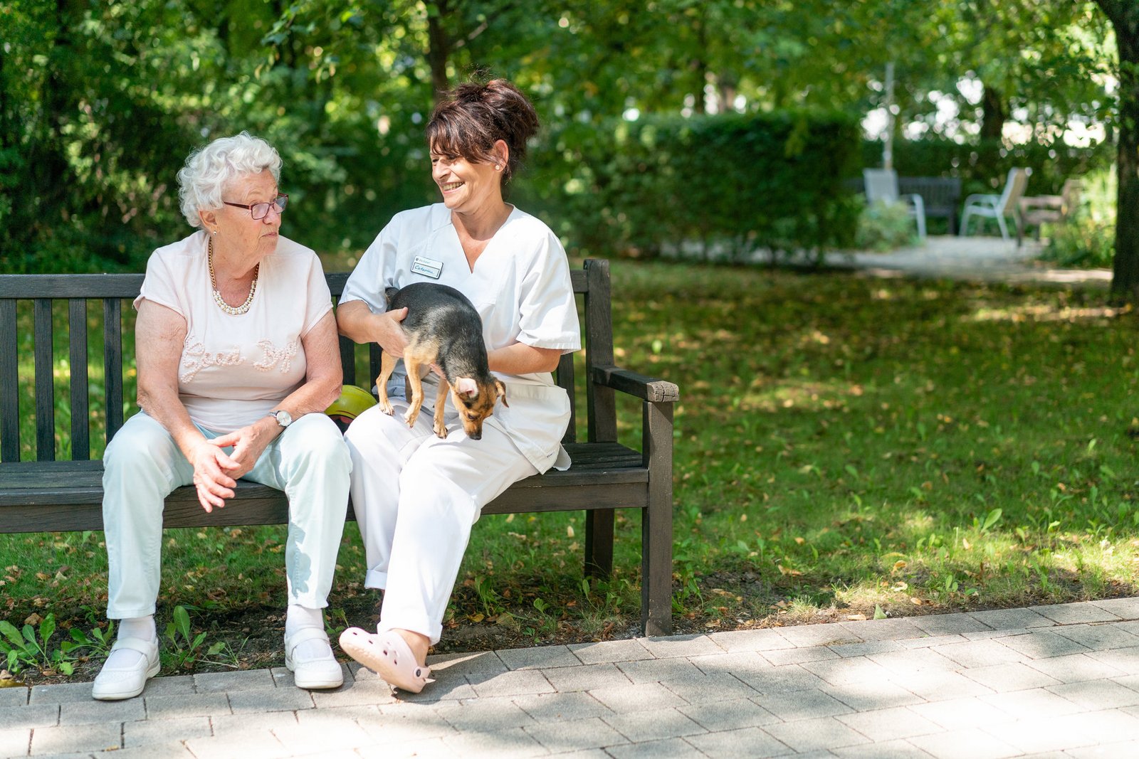 Hundetherapie