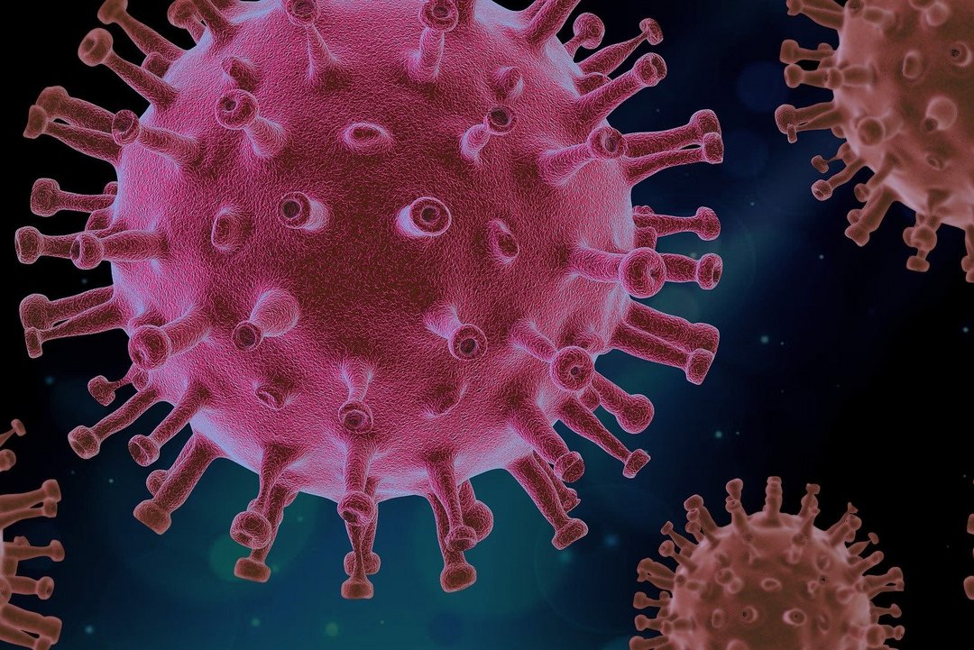 Corona Virus